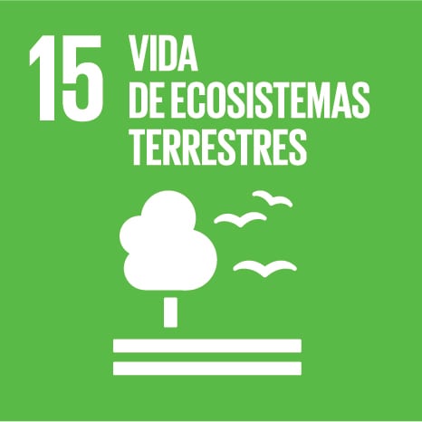 ODS 15 - Vida de Ecosistemas Terrestres